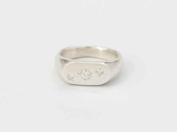 Oval birthstone signet silver