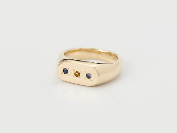 Oval birthstone signet gold