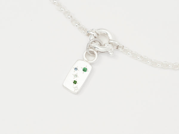 Constellation - Zodiac Charm Necklace Silver