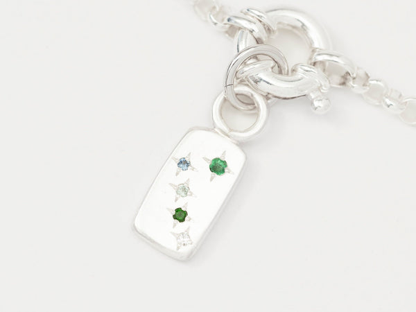 Constellation - Zodiac Charm Necklace Silver