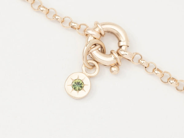 A close-up image of a gold birthstone charm necklace featuring a small circular charm with a gemstone set in it, attached to a gold chain.
