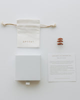 Wax ring try on kit