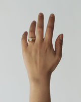 Wax ring try on kit