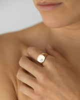 Nova Signet Une Yellow Gold