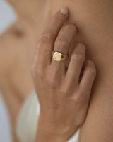 Nova Signet Mini Une Yellow Gold