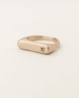 Rectangle birthstone signet ring gold