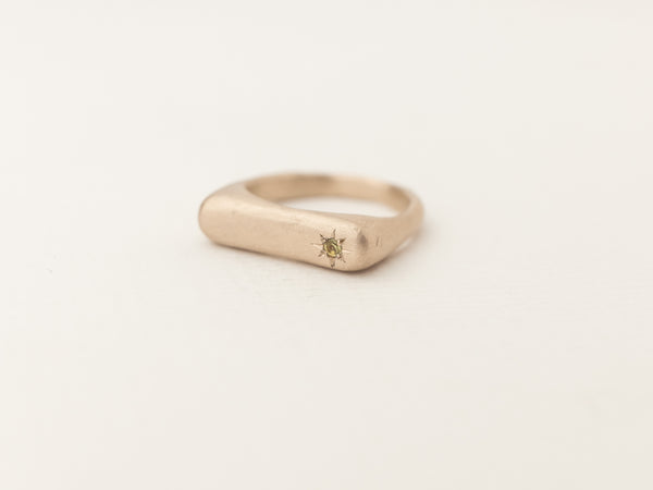 Rectangle birthstone signet ring gold
