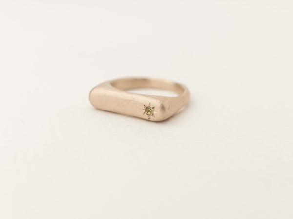 Rectangle multi-gemstone signet gold