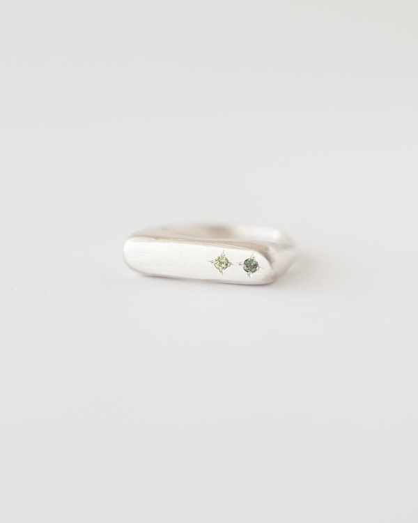 Rectangle birthstone signet ring silver