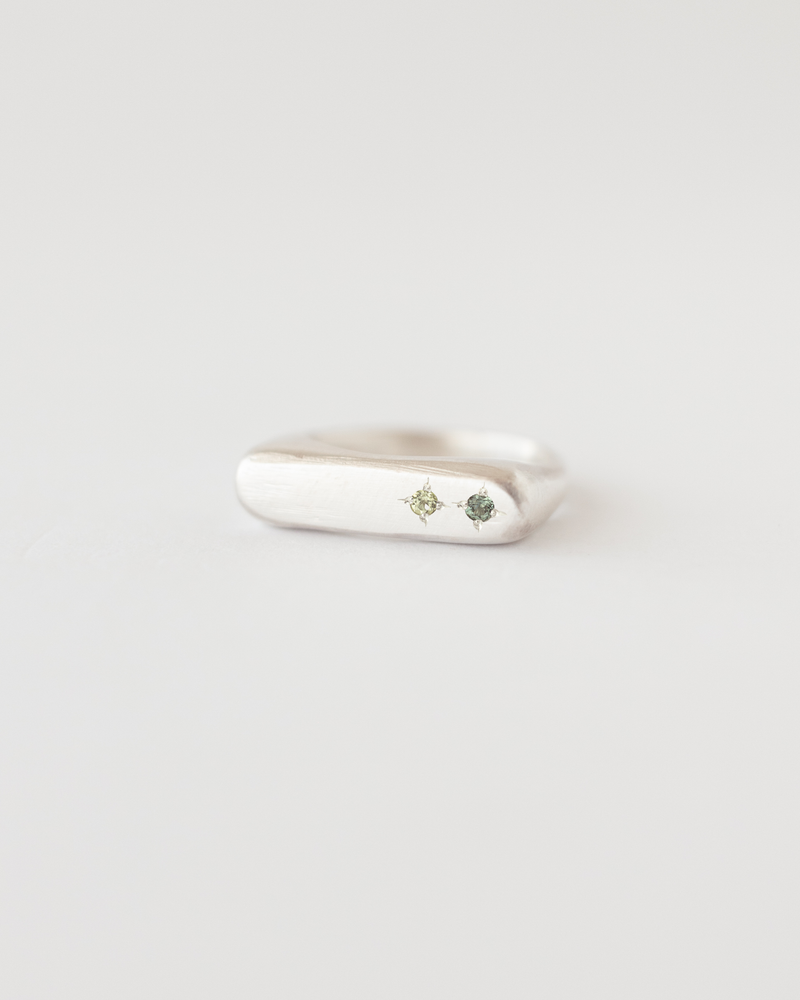 Rectangle birthstone signet ring silver