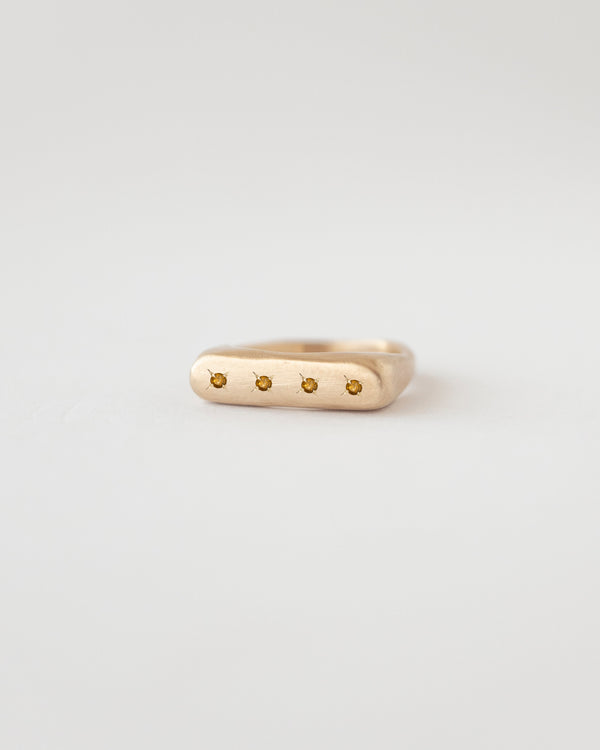 Rectangle birthstone signet ring gold
