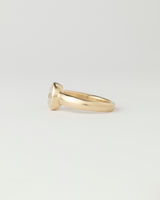 Névé Solitaire - Oval Diamond - Yellow Gold
