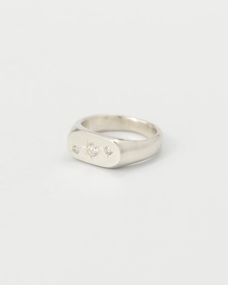Oval multi-gemstone signet ring silver