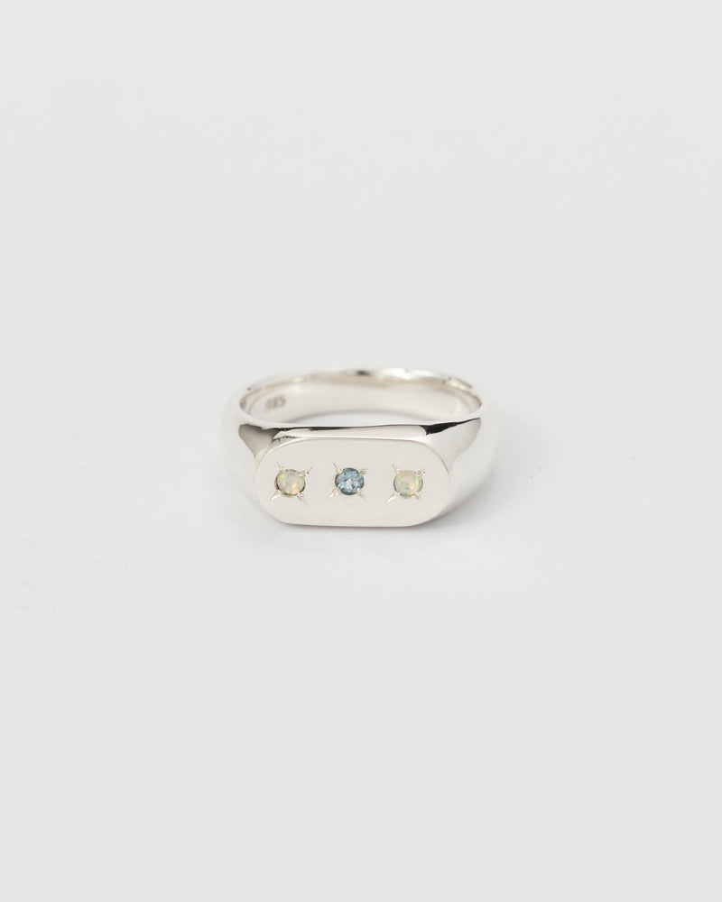Oval multi-gemstone signet ring silver