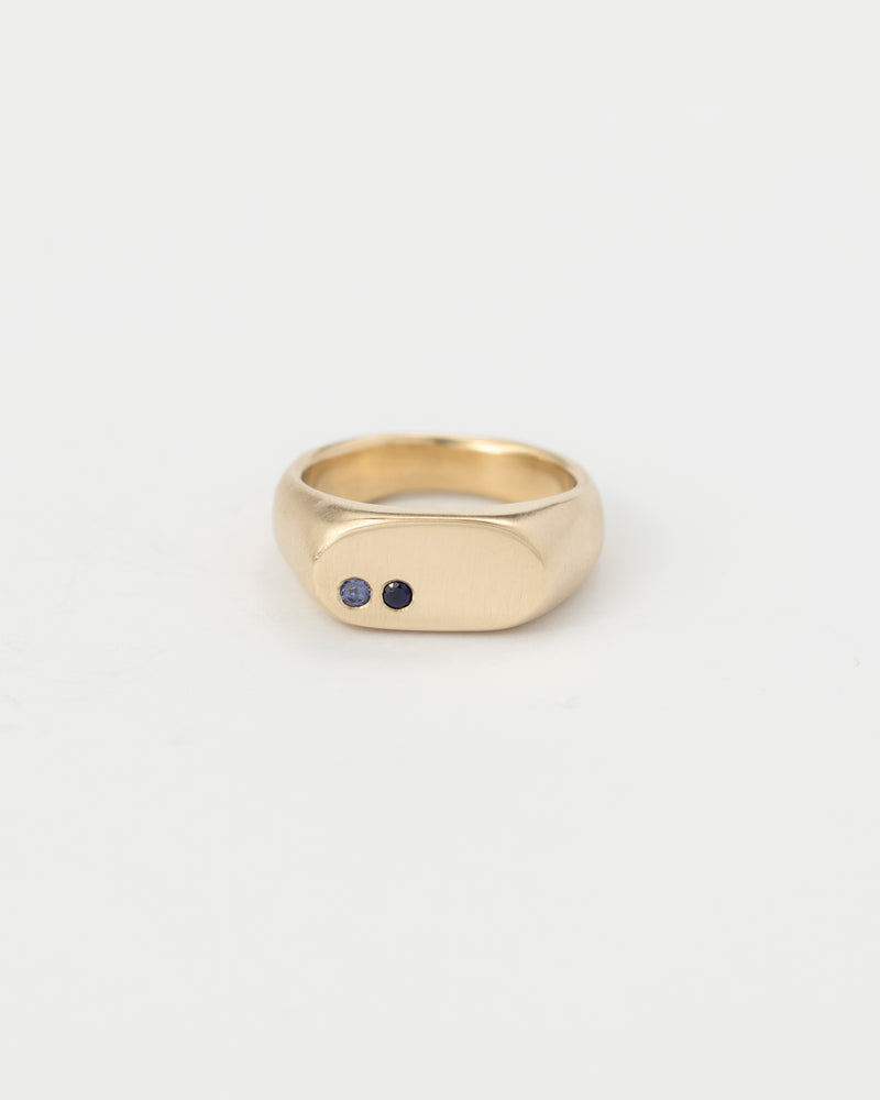 Oval birthstone signet gold