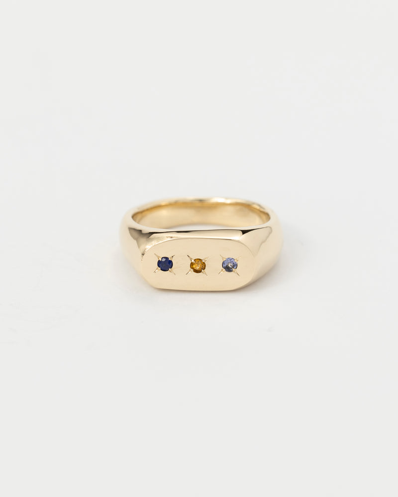 Oval birthstone signet gold