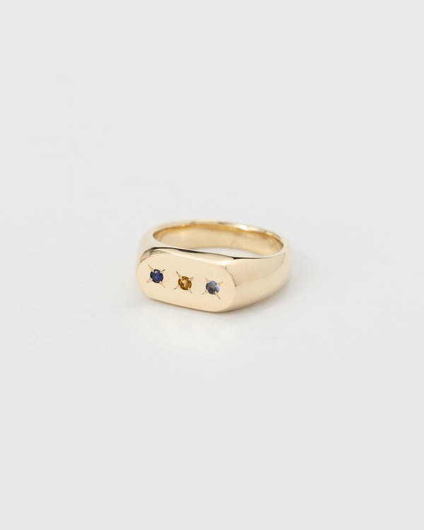 Oval birthstone signet gold