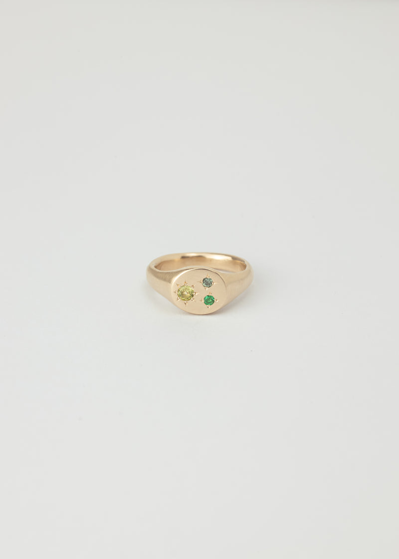 Mini round birthstone signet gold