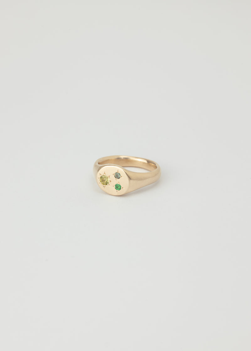 Mini round birthstone signet gold