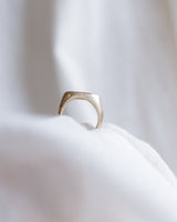 Oval signet ring gold - ready to ship